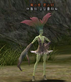 Singing Flower Darkling