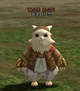 Pako The Cat