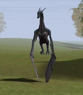 Blitz Wyrm