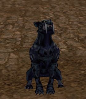 Black Leopard