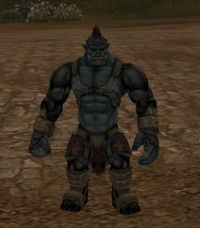 Timora Orc