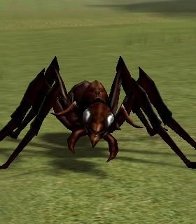 Nurse Ant