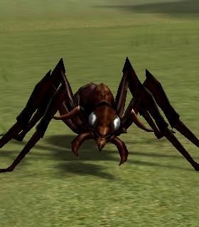 Guard Ant