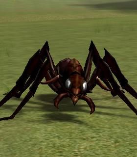 Royal Guard Ant