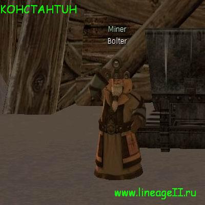 Bolter