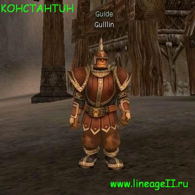 Newbie Guide