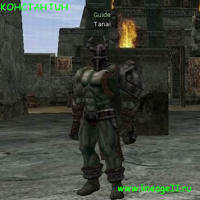 Newbie Guide