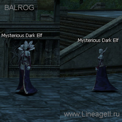 Mysterious Dark Elf