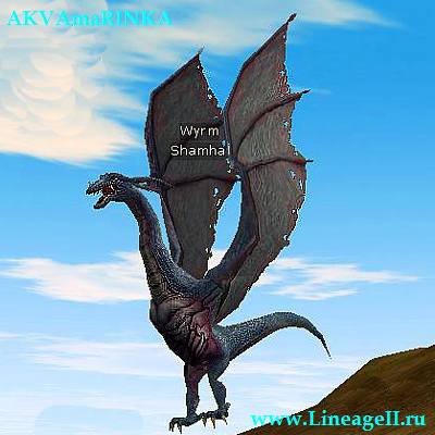Shamhai