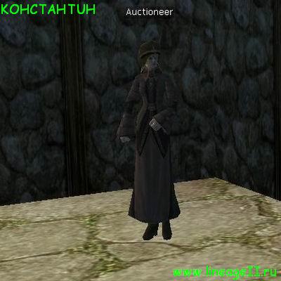 Auctioneer