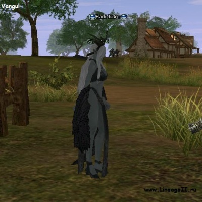 Black Judge
