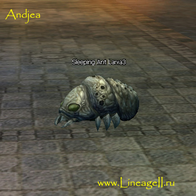 Sleeping Ant Larva3