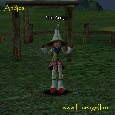 Race Manager