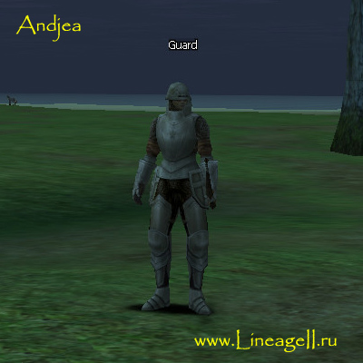 Guard