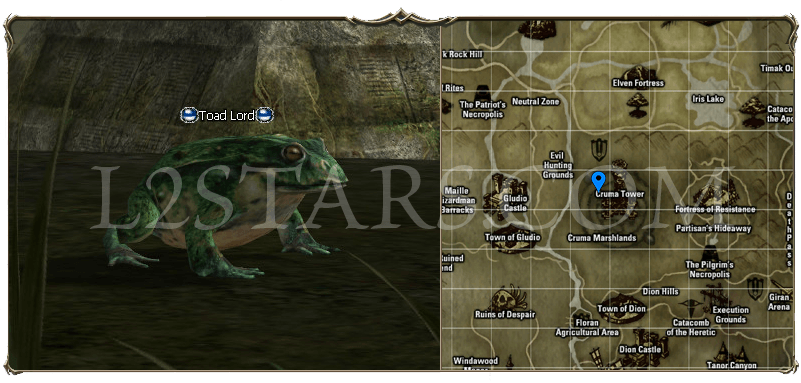 Toad Lord