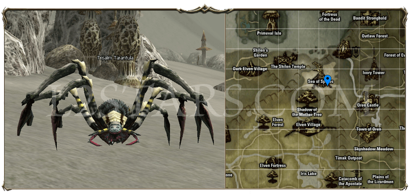 Trisalim Tarantula