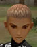 Hairstyles, Human Female Fighter, Style G
