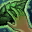 Skill11770 0