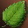 Etc leaf green i00 0