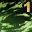 Skill6368 1 0