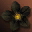 Etc flower i06 0
