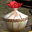 Rose Petal Herb