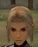 Hairstyles, Human Female Fighter, Style D