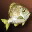 Etc bream i02 0