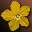 Etc flower i02 0