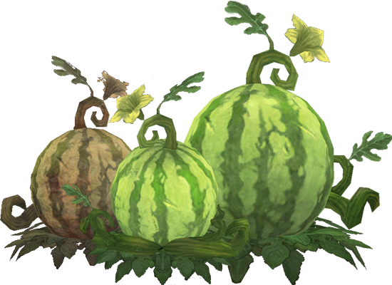 Wintermelons