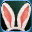 Accessory rabbit ear i00 0 pannel blessed