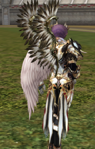 Hussar's Wings Вид 2