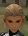 Hairstyles, Human Female Fighter, Style E