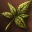 Tama poisonous plant 0