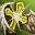 Skill11782 0