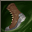 Enchant skill add dodge