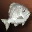 Etc fish seawater i02 0