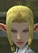 Hairstyles, Elf Female, Style D