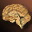 Etc bodypart brain i00 0