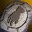 G scrl change gloves 0