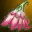 Pi forgetmenot cap 0
