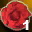Br herb rose red i00