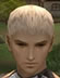Hairstyles, Human Male Fighter, Style B