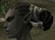 Hairstyles, Orc Female Fighter, Style C