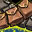 Skill8281 0
