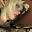Etc figure FElf i00 0