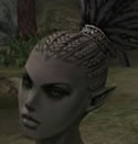 Hair Colors, Female Orc Fighter, Style C