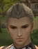 Hairstyles, Human Male Fighter, Style D
