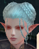 Hairstyles, Female Kamael, Style B