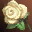Etc white rose i00 0